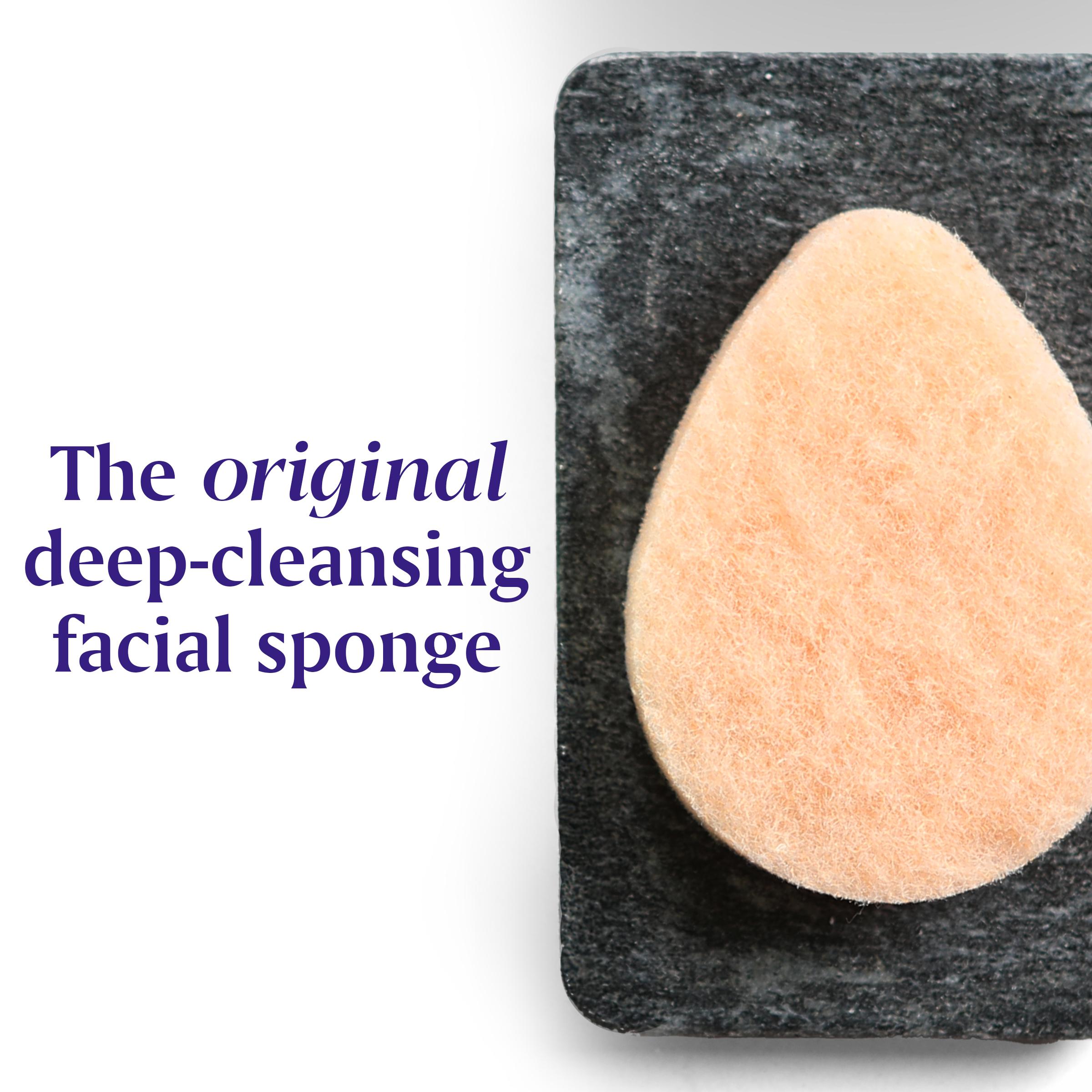 SPONG & SCOURING PAD