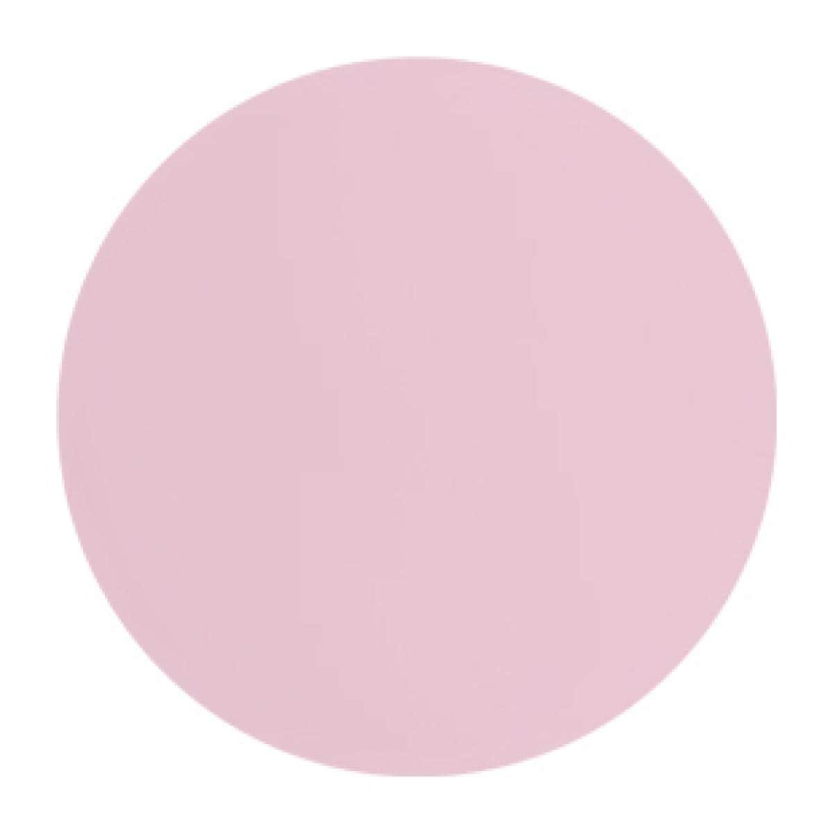 CTD ABRSV PL BACK DISC 3FT POLYESTER