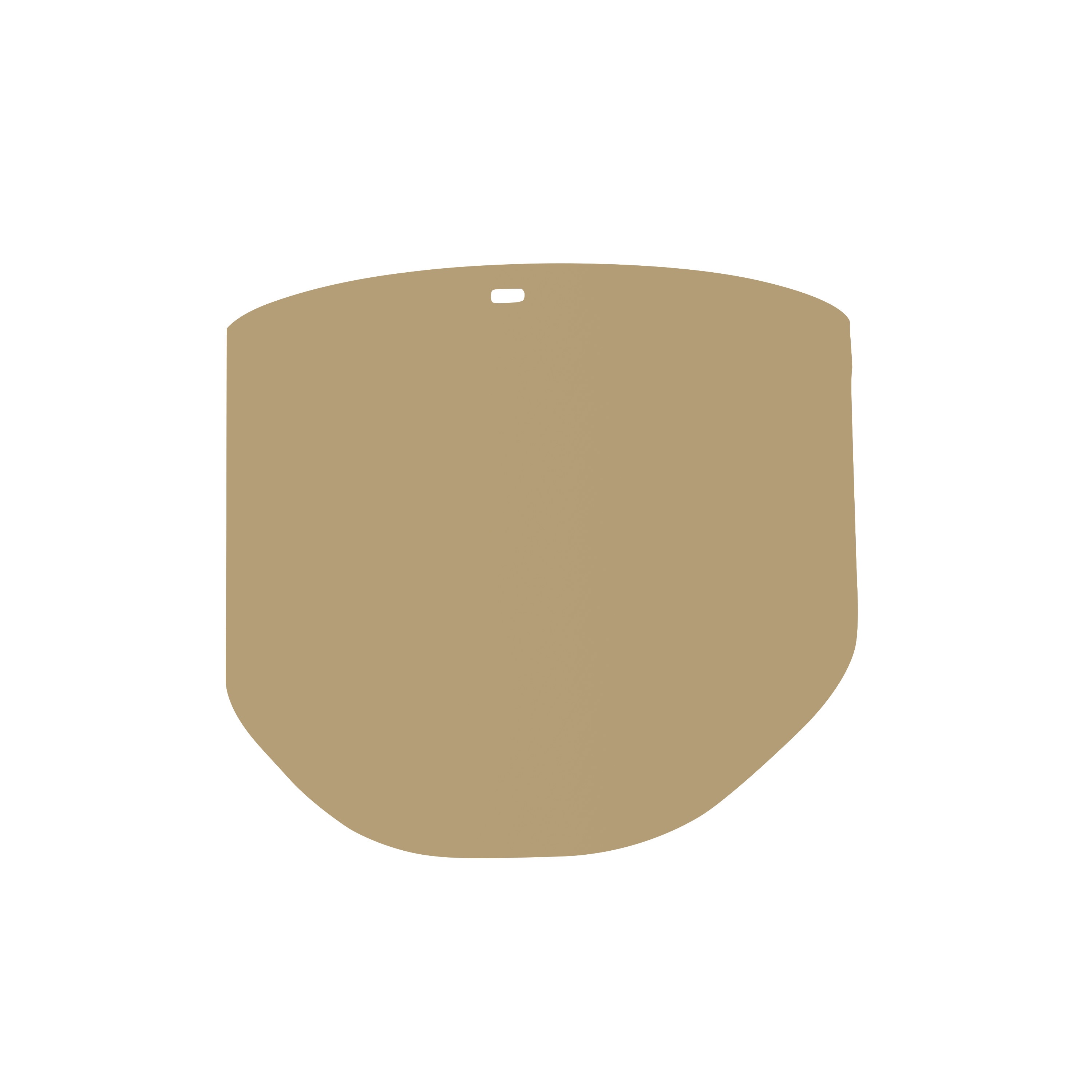 FACE SH REPLACEMENT VISOR CLEAR