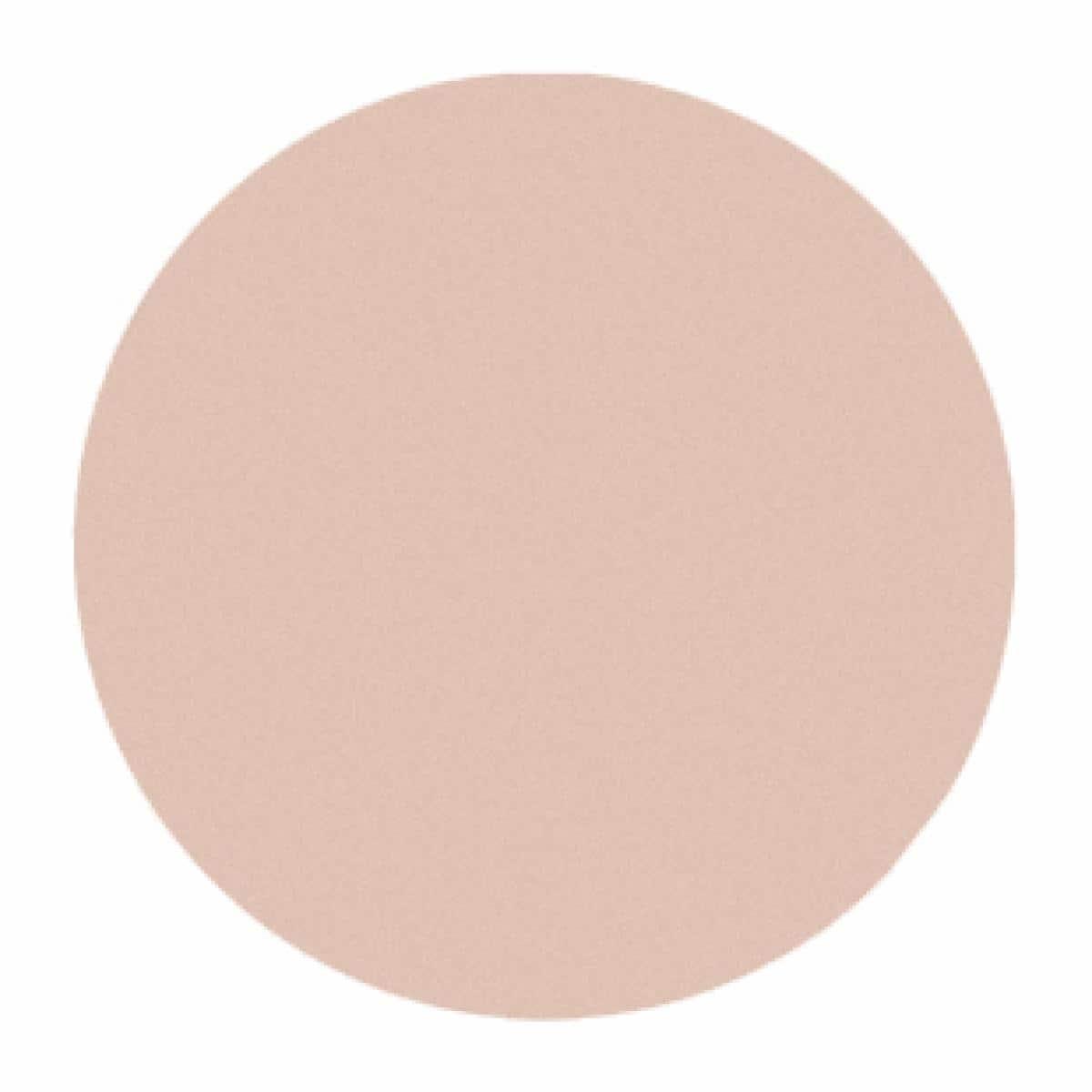 CTD ABRSV PL BACK DISC 4.125IN 6MICRON