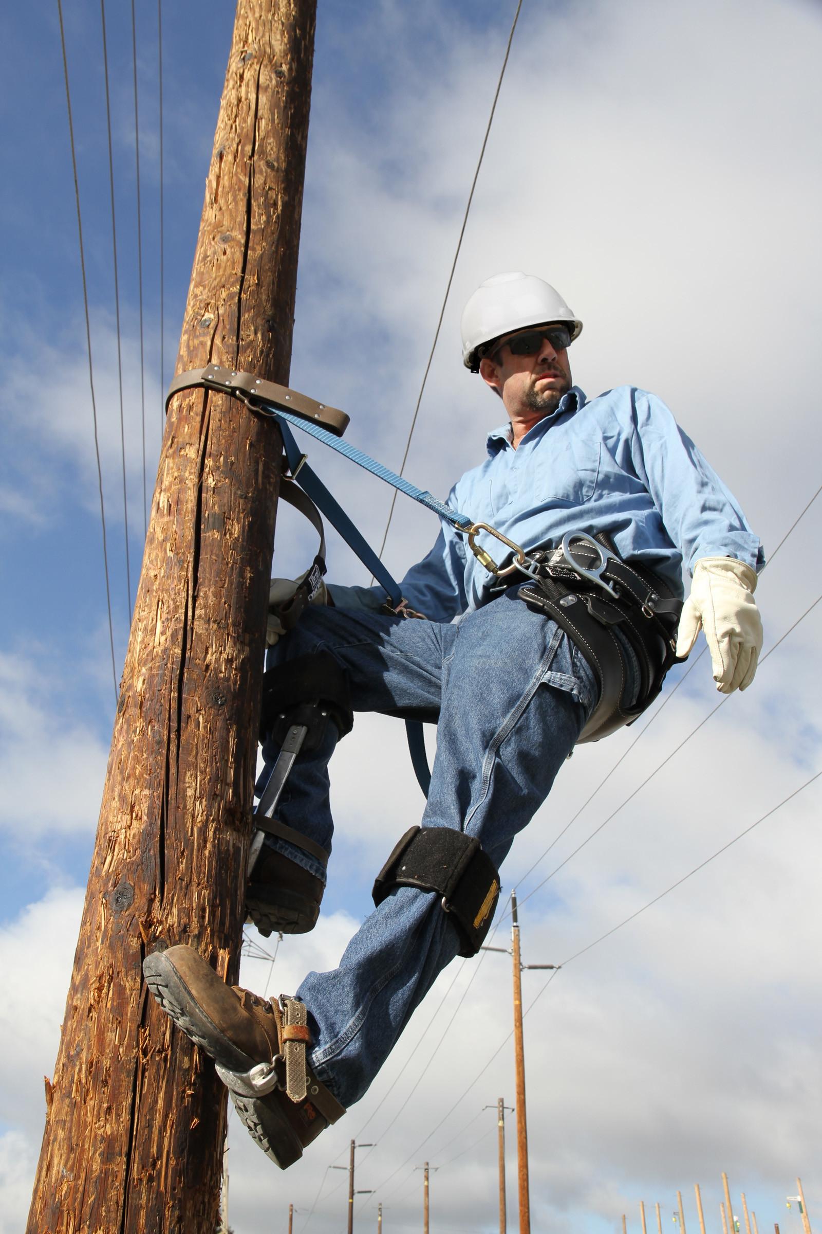 TREE & POLE CLIMBER