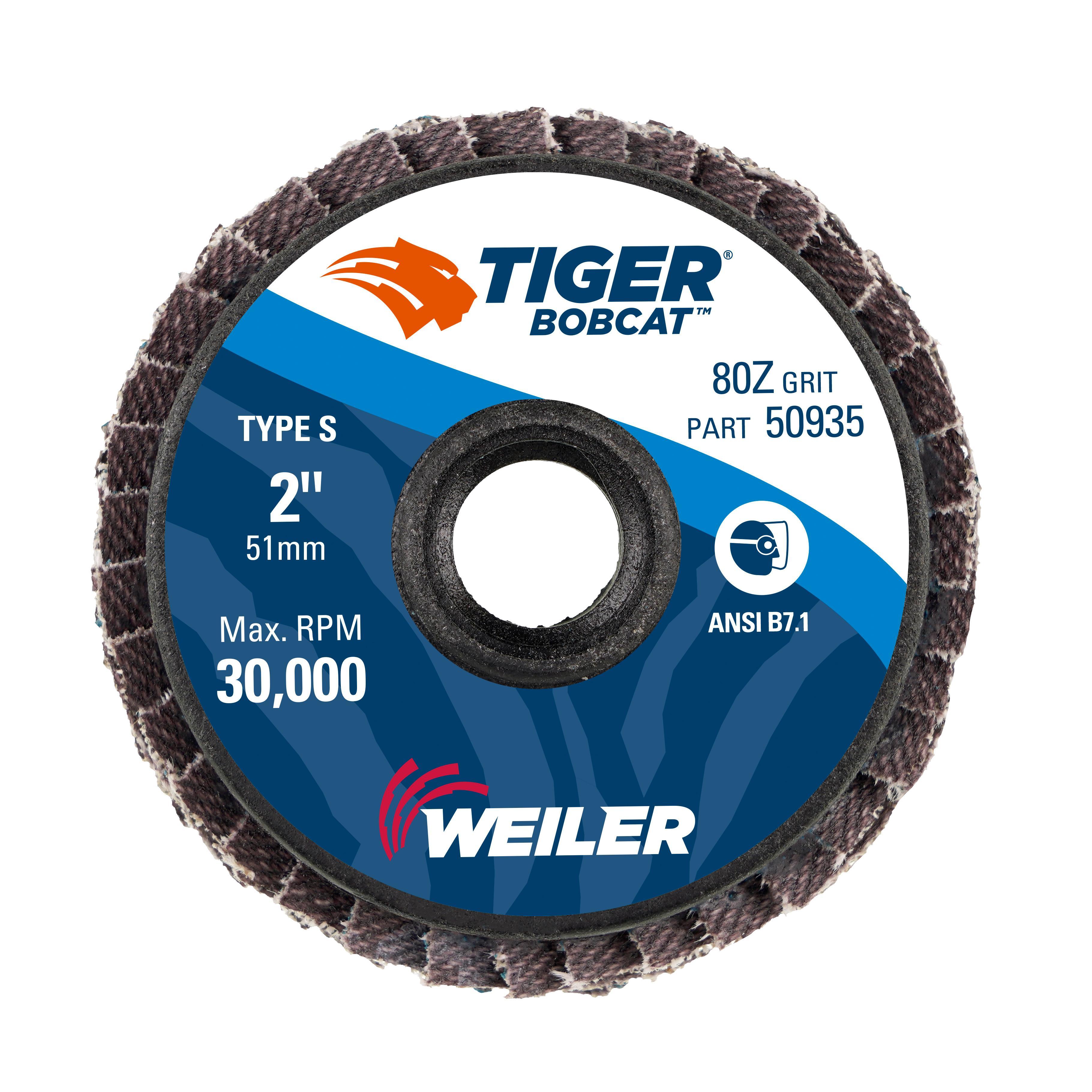 DISC FLAP ABRSV CTD 2IN 1/4IN 80 MDM