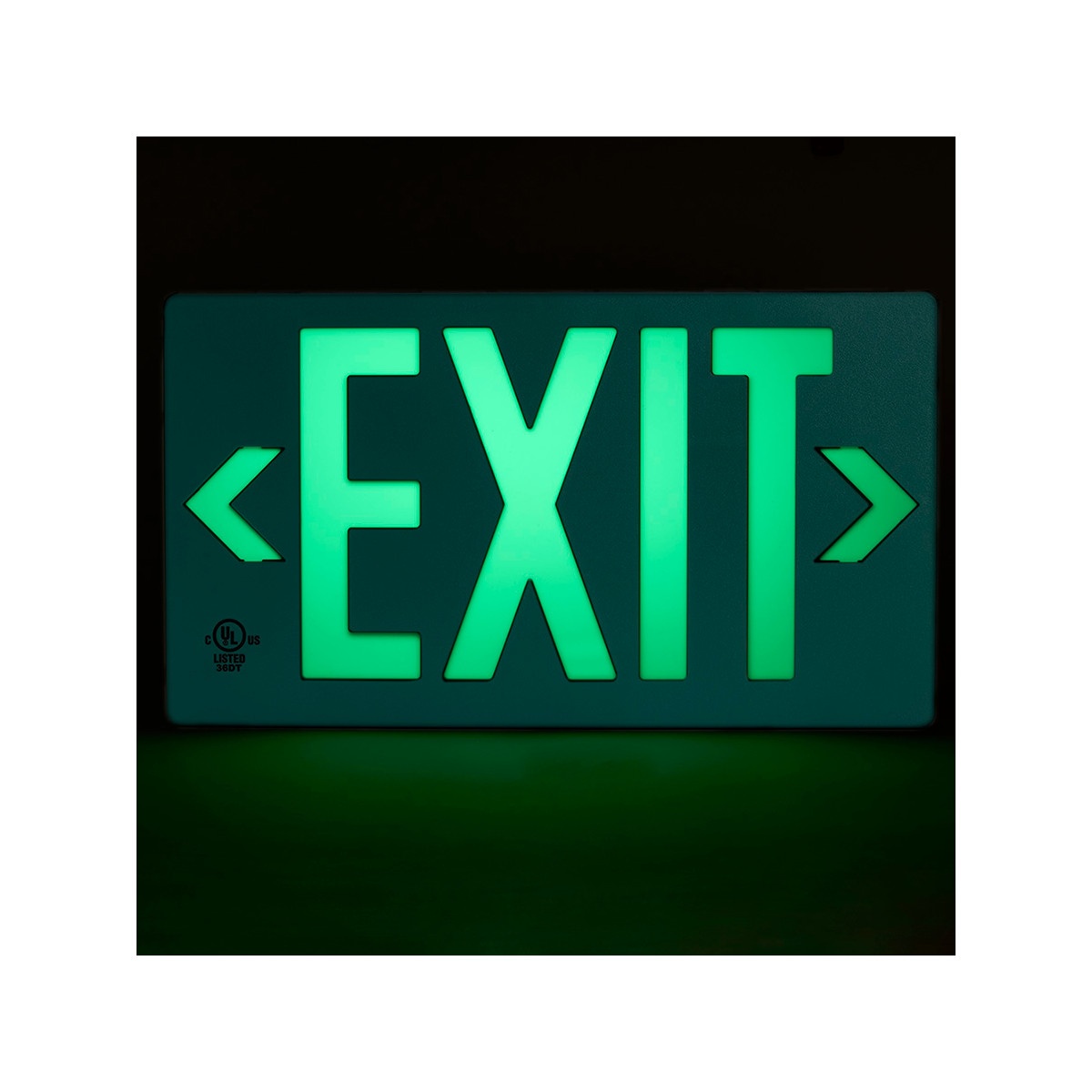 E SIGNS GREEN EXIT SIDE WALL/CELLING