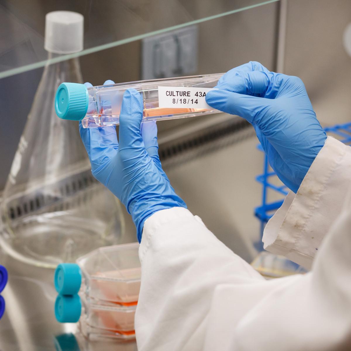 CARTRIDGE 1 IN W X 25 FT L