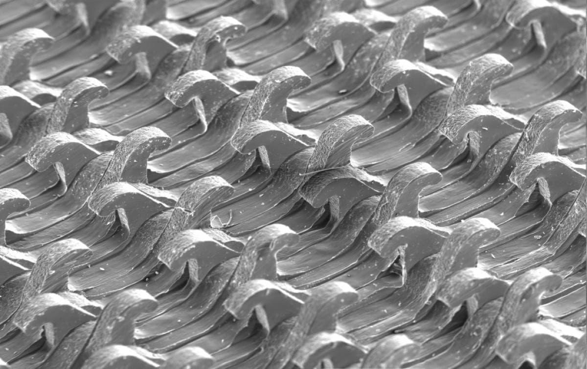 FILE BD & SHOE 11IN 2.75IN HOOK AND LOOP