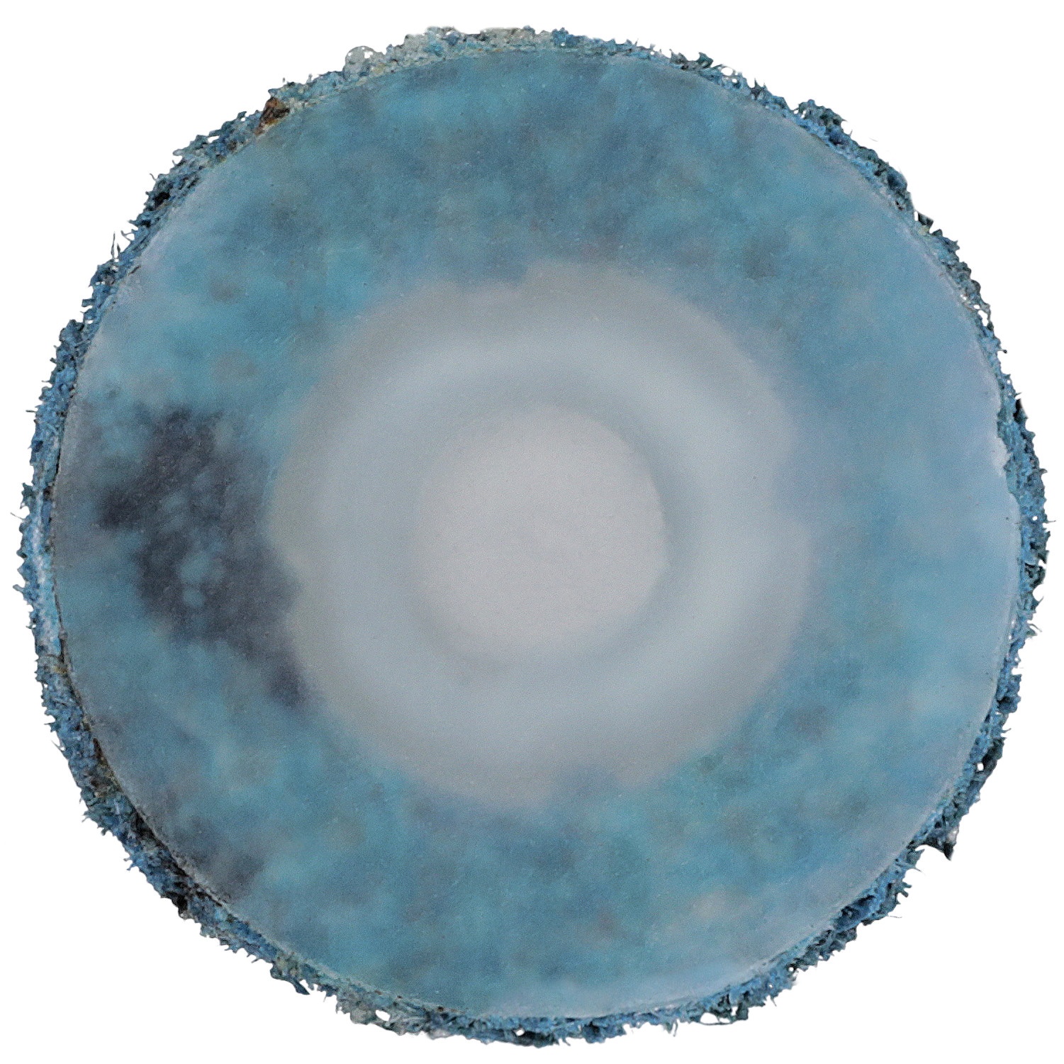 NON-WOVEN ABRSV QUICK-CHANGE DISC 0.75IN