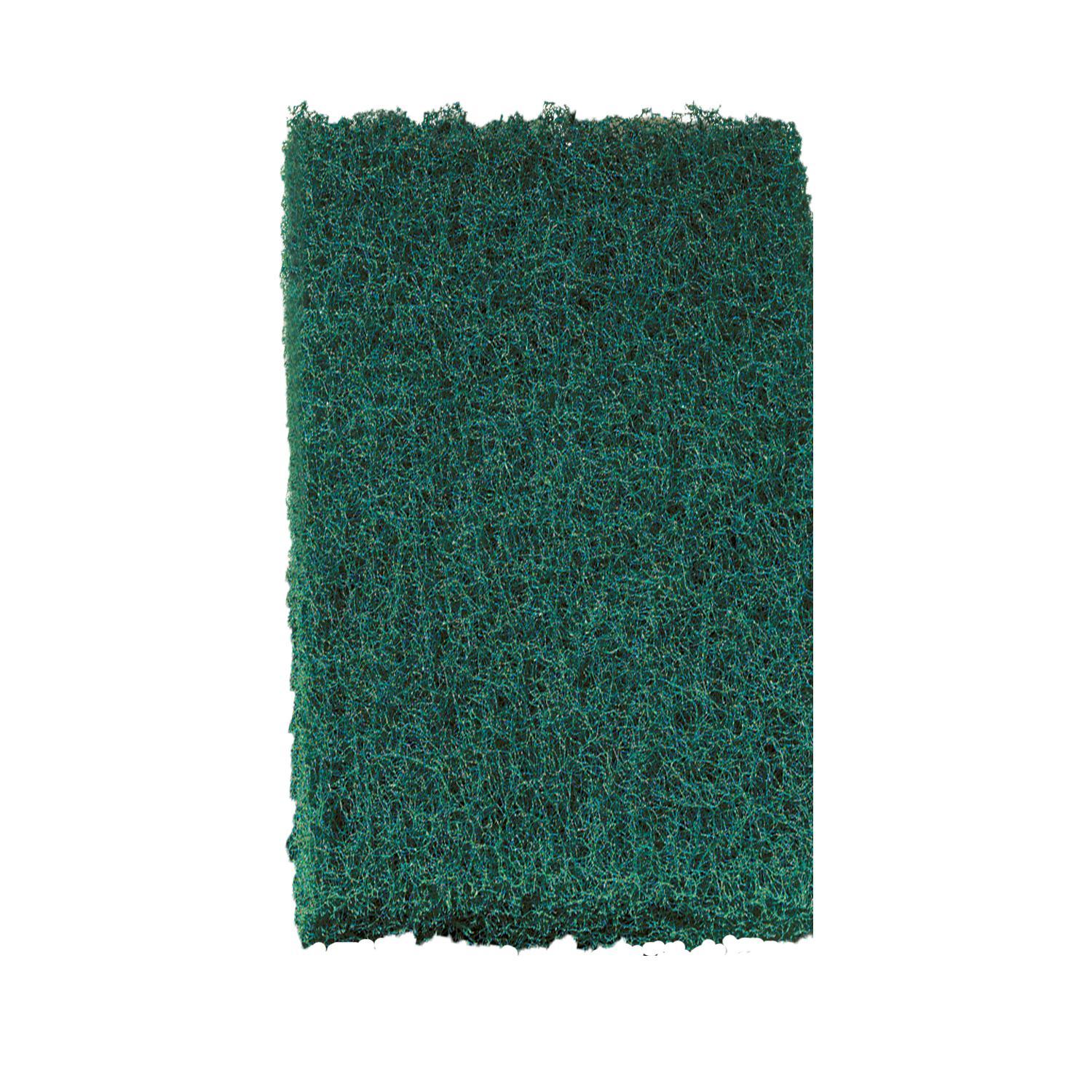 SPONG & SCOURING PAD GREEN 6IN 3.8IN