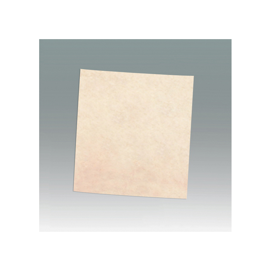 NON-WOVEN ABRSV SH 1-1/2IN 1IN