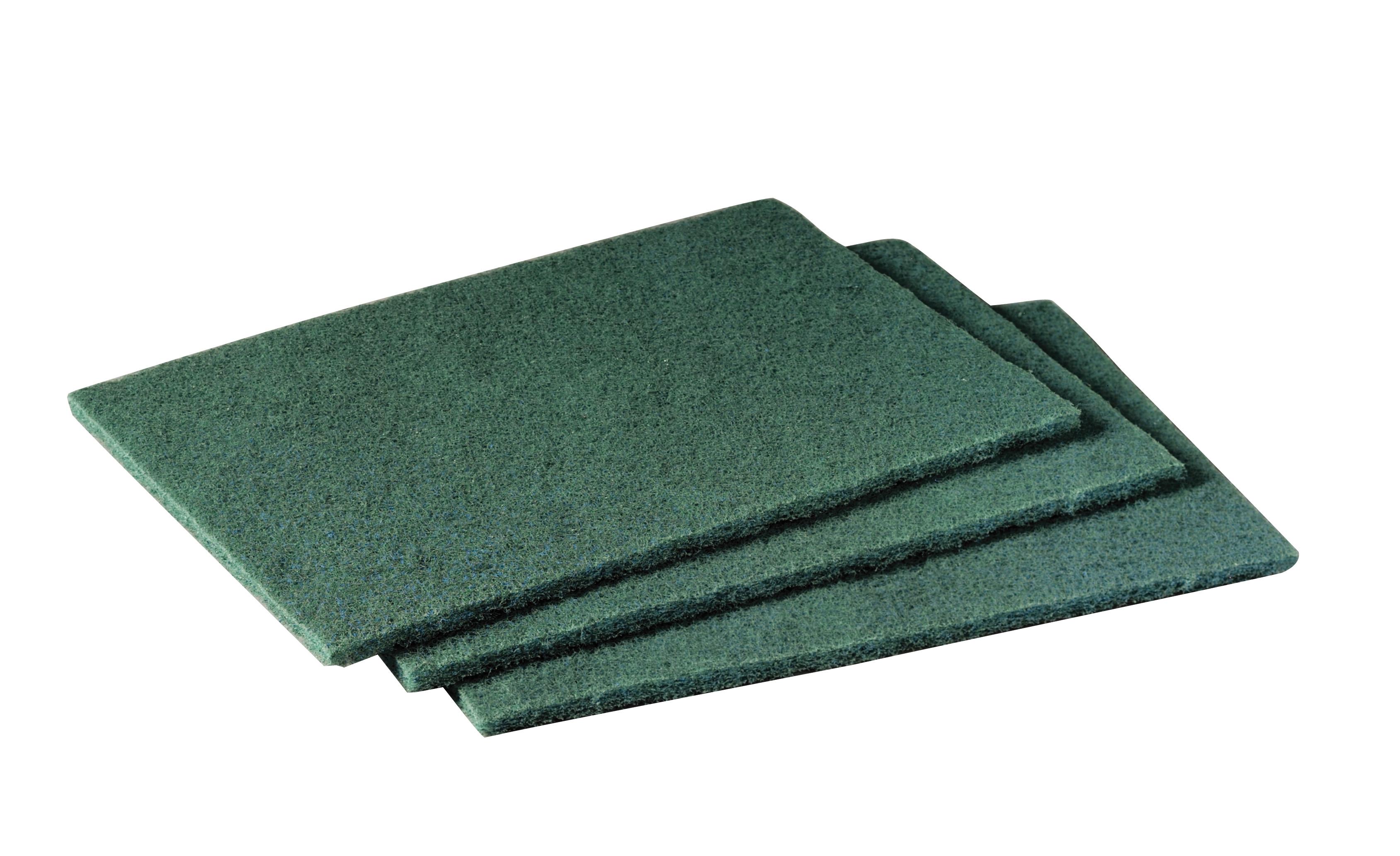 SPONG & SCOURING PAD 9IN 6IN