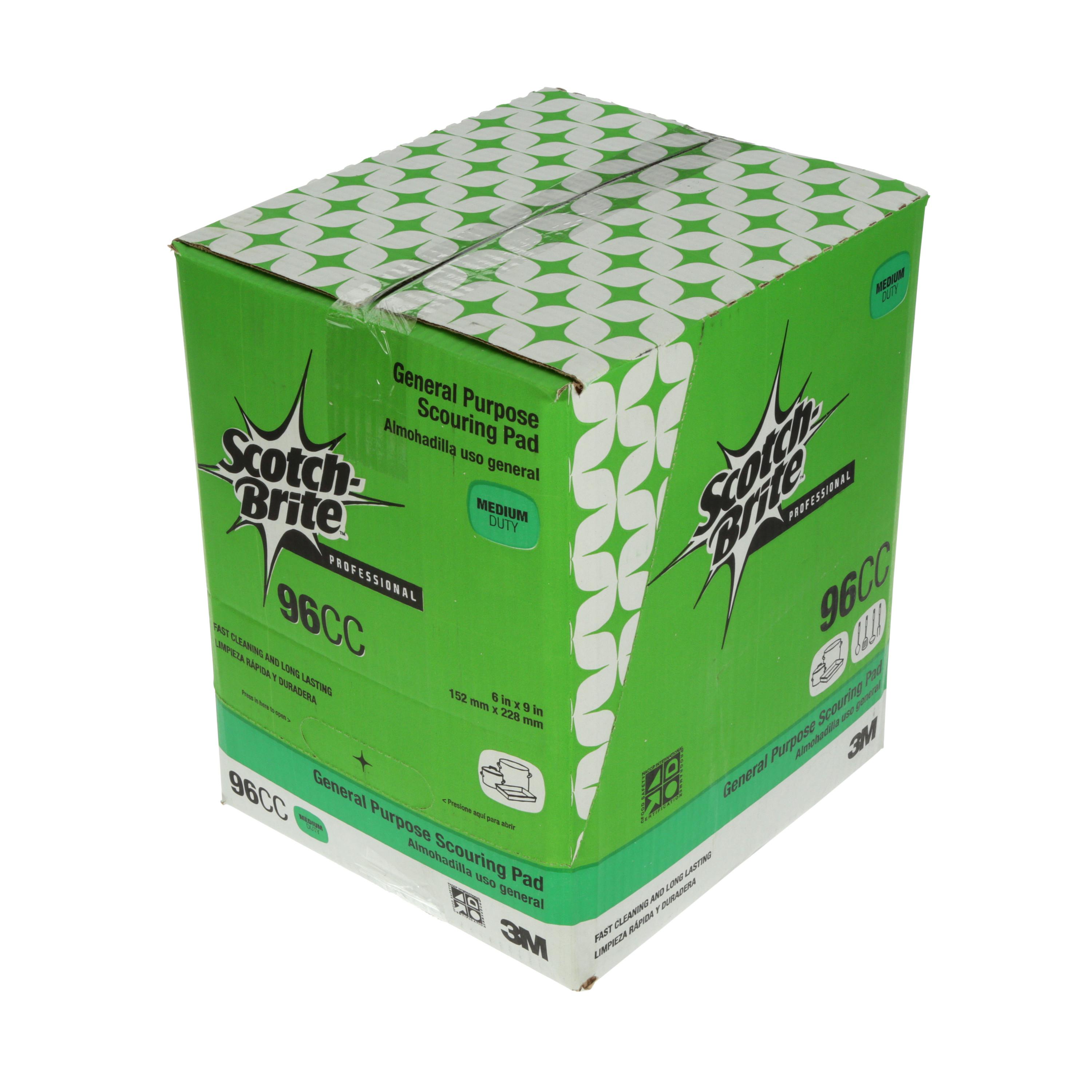 SPONG & SCOURING PAD 9IN 6IN