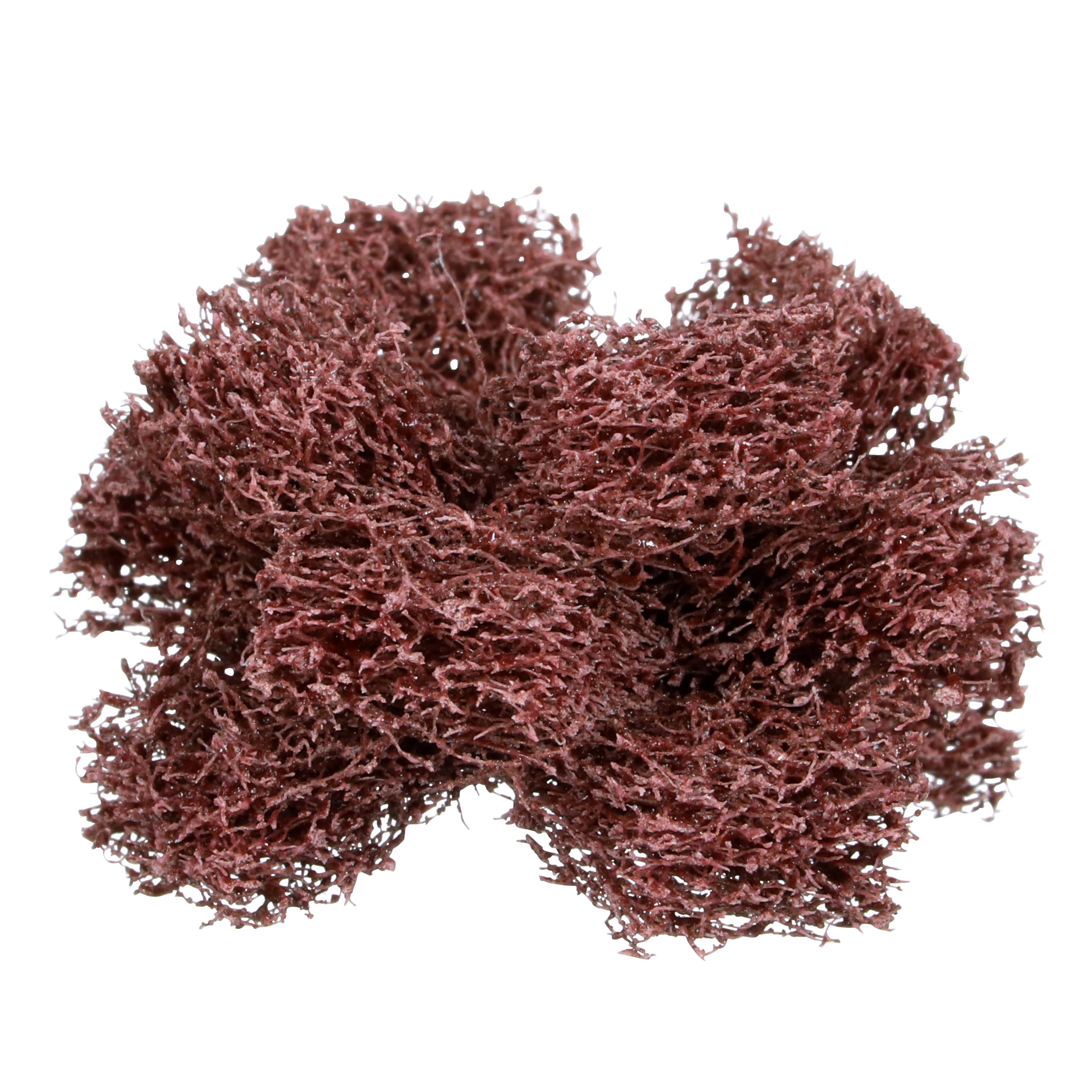 BUFF 1-1/2IN MEDIUM 3 1/2IN #8-32