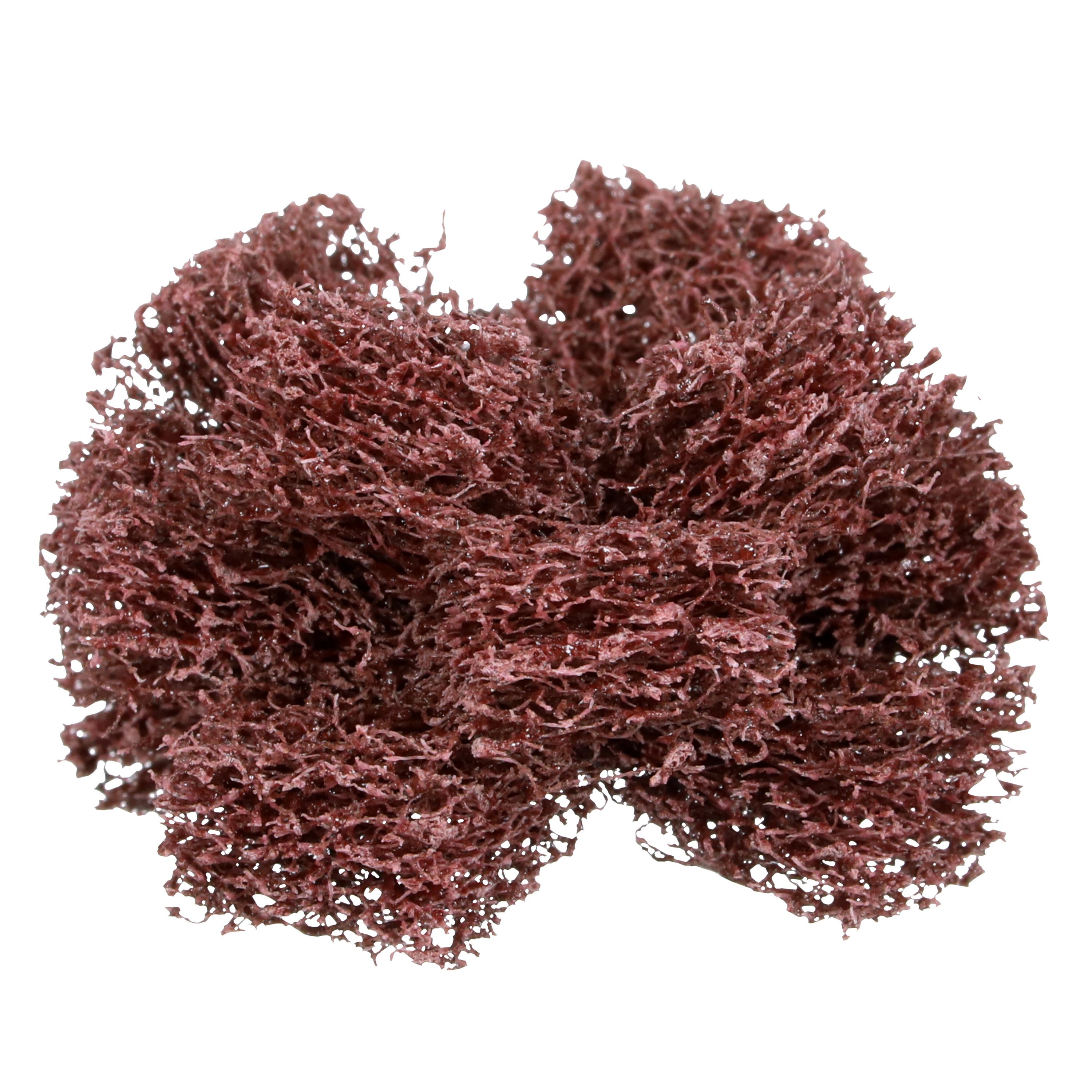 BUFF 1-1/2IN MEDIUM 3 1/2IN #8-32