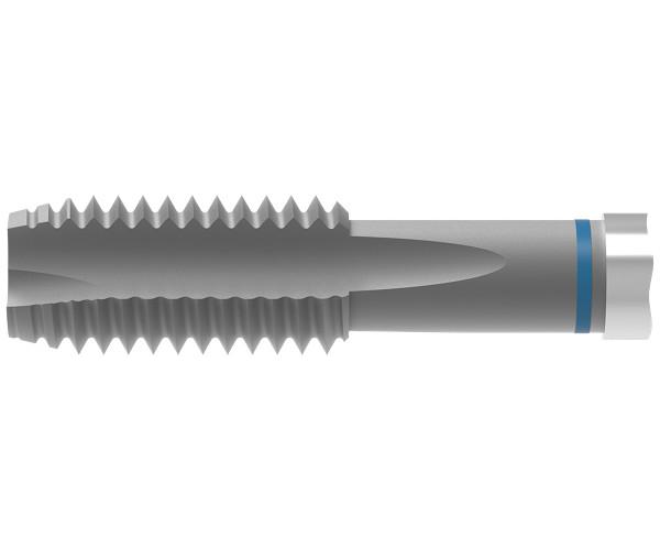 WNT 22021200 Through Hole Machine Tap, Right Hand Cutting, M20 Thread, (3) Flutes, Uncoated